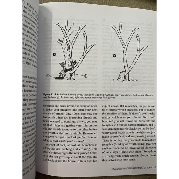 Cass Turnbull's Guide to Pruning 3rd Edition : What, When, Where & How to Prune - Picture 4 of 4